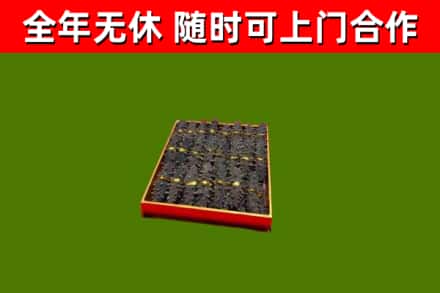 射阳县回收海参